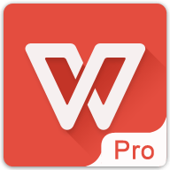 wps office pro央企定制版