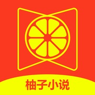 柚子小说