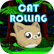 ROLLING CAT