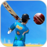 Kick Cricket Last Game