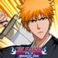 Bleach: Immortal Soul