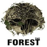 the forest旧版