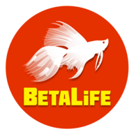 bitlife中文版修改