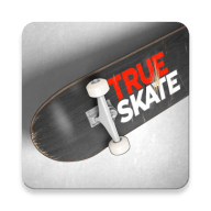 True Skate安卓版