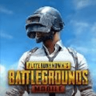 pubg世纪网恋