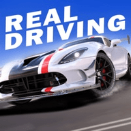 real driving sim汽车版