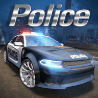 policeSim2022