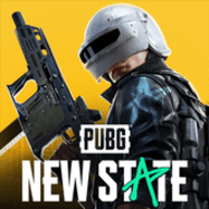 pubgnewstate国际服