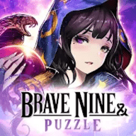 Brave Nine Puzzle