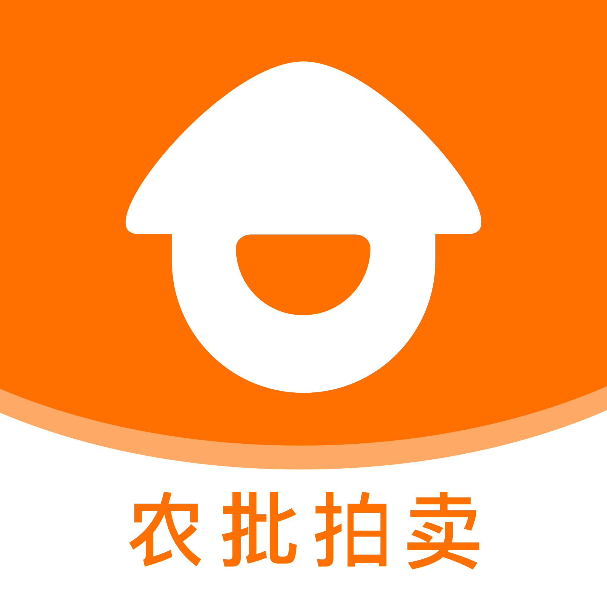 道农拍平台