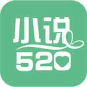 小说520