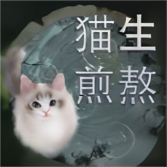 猫生煎熬手游