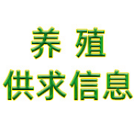 养殖供求信息