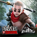 Puzzles & Survival