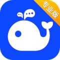 WorkPlus SE专业版