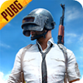 pubg国际服 手游最新版下载