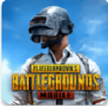 pubg国际服 地铁逃生最新版下载