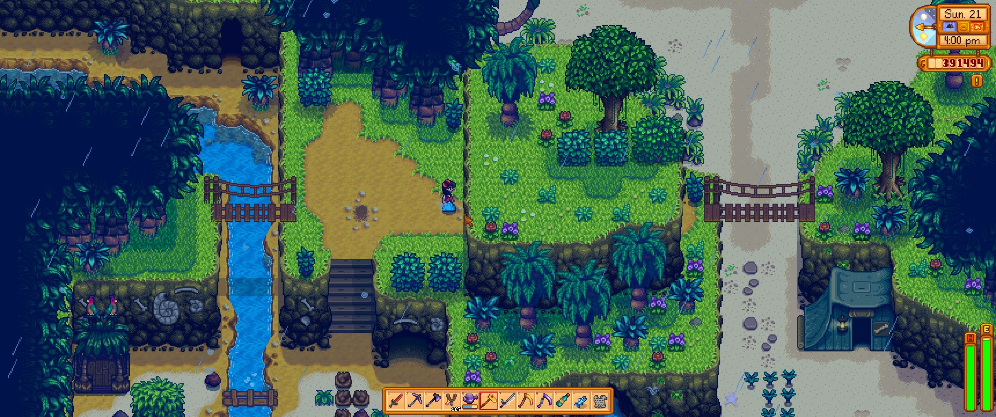 Stardew Valley: The player faces the hidden tunnel to the rope bridge