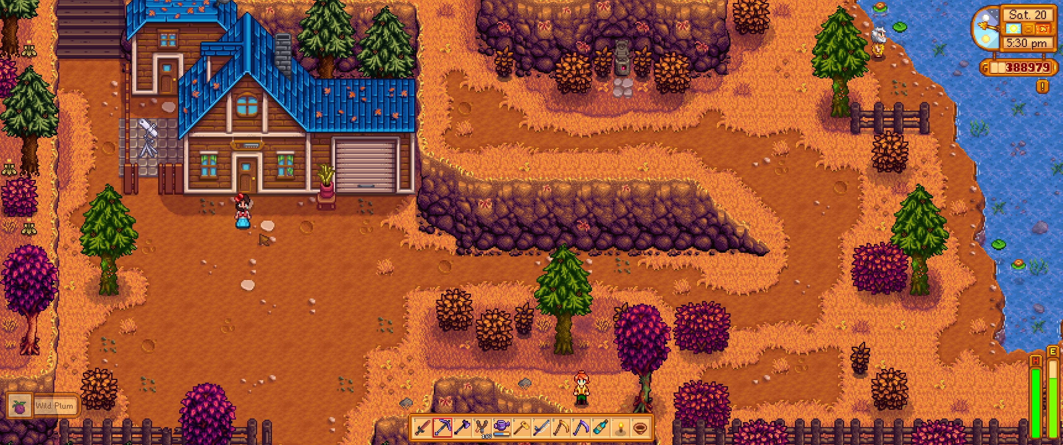 Stardew Valley: the player stands in front of Robin's shop