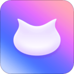 飞猫盘app