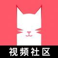 猫咪app视频 2024最新版