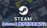 《steam》推荐标签查看方法