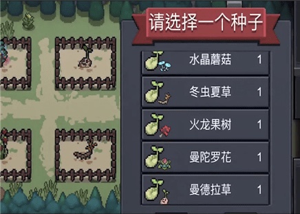 元气骑士植物种植攻略2