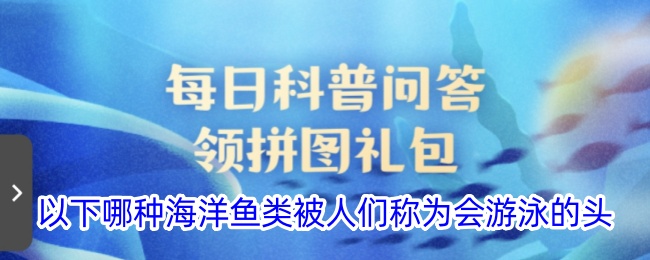 以下哪种海洋鱼类被人们称为会游泳的头